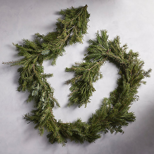 Fresh Cryptomeria + Noble Fir Garland | Terrain