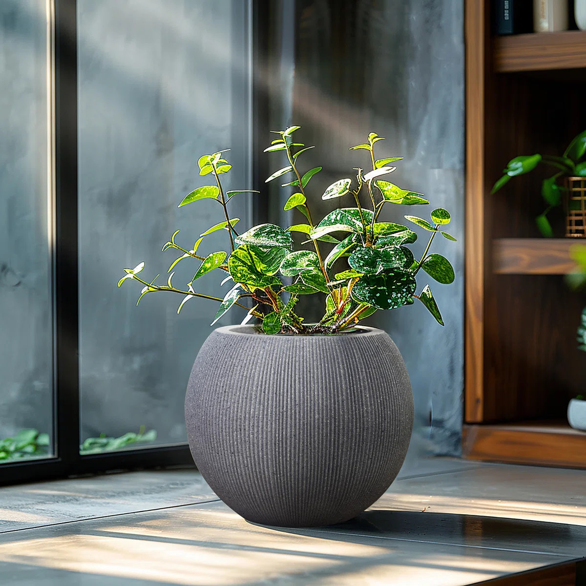 Anjonette 14.5'' D Round Bowl Grey Planter, Mediterranean Style Plastic Plant Pot | Wayfair North America