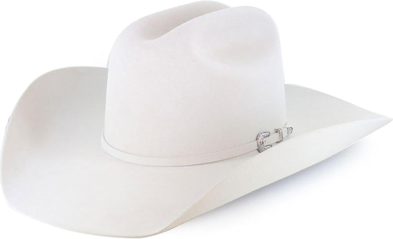 RESISTOL Men's Silverbelly 20X Tarrant Beaver Felt Cowboy Hat Silver Belly 7 3/8 at Amazon Men’... | Amazon (US)