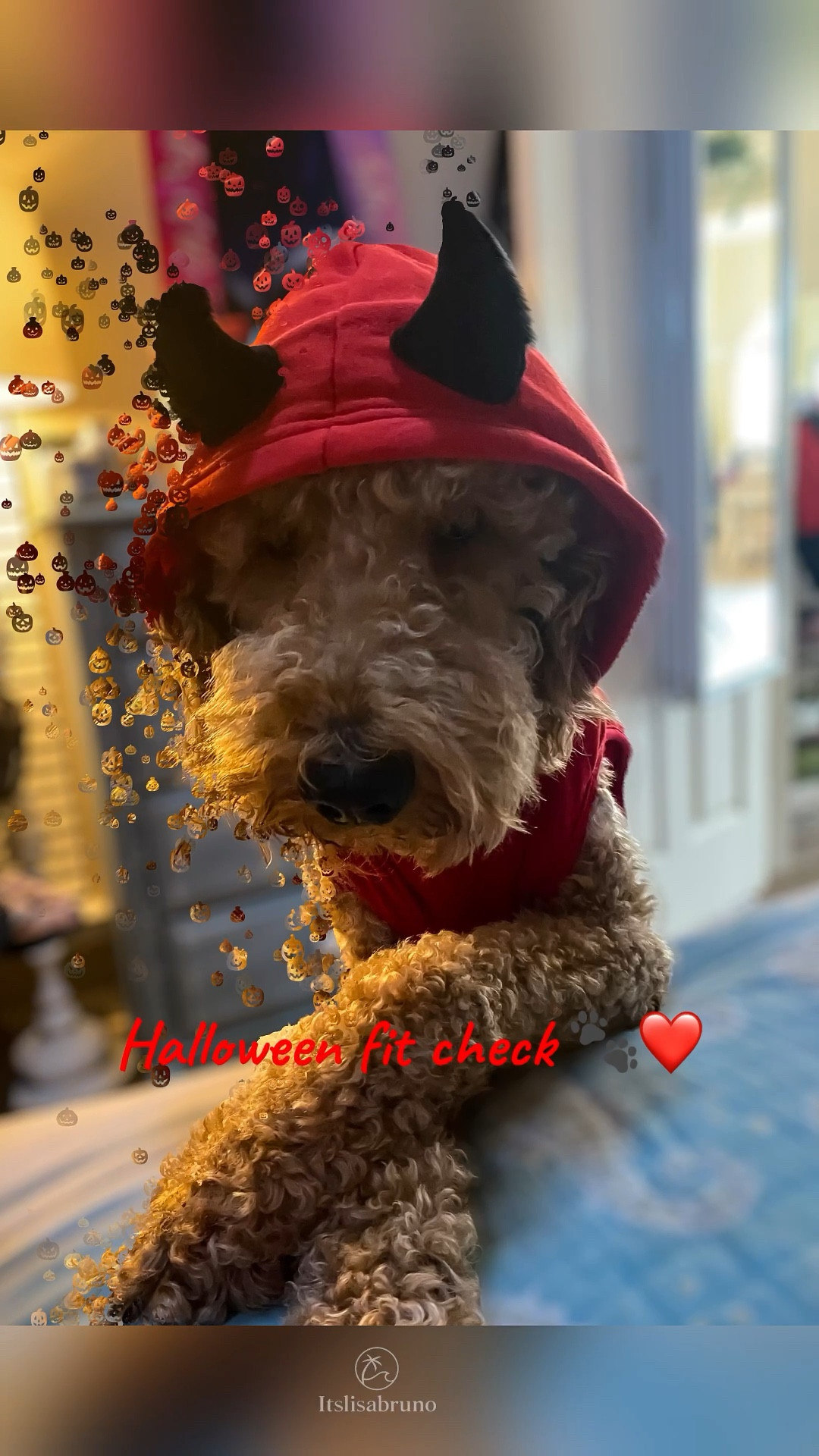 Devilish looks for everyone 😈 His, hers, kids, and even the pets — matching Halloween costumes that are cozy, cute, and a little wicked 🔥🎃


#Ad #MatchingCostumes #HalloweenStyle #DevilCostume #FamilyCostumes #PetCostume #SpookySeason #LTKFall #PetStyle #LTKFinds #HalloweenOutfits  

#LTKPets #LTKFamily #LTKKids #LTKSeasonal #LTKHome #LTKPets #LTKHalloween #LTKHome #LTKFamily #LTKSeasonal