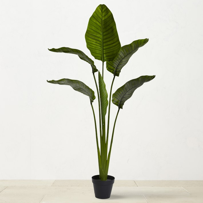 5' UV Resistant Faux Travelers Palm Tree | Williams-Sonoma