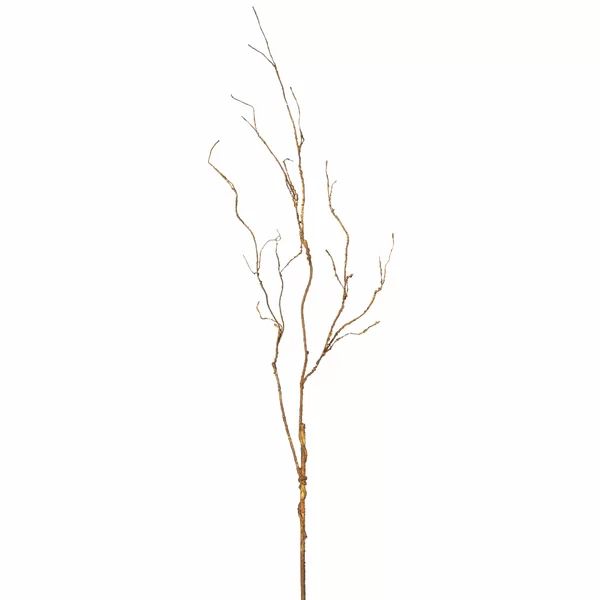 Twig Branch | Wayfair North America