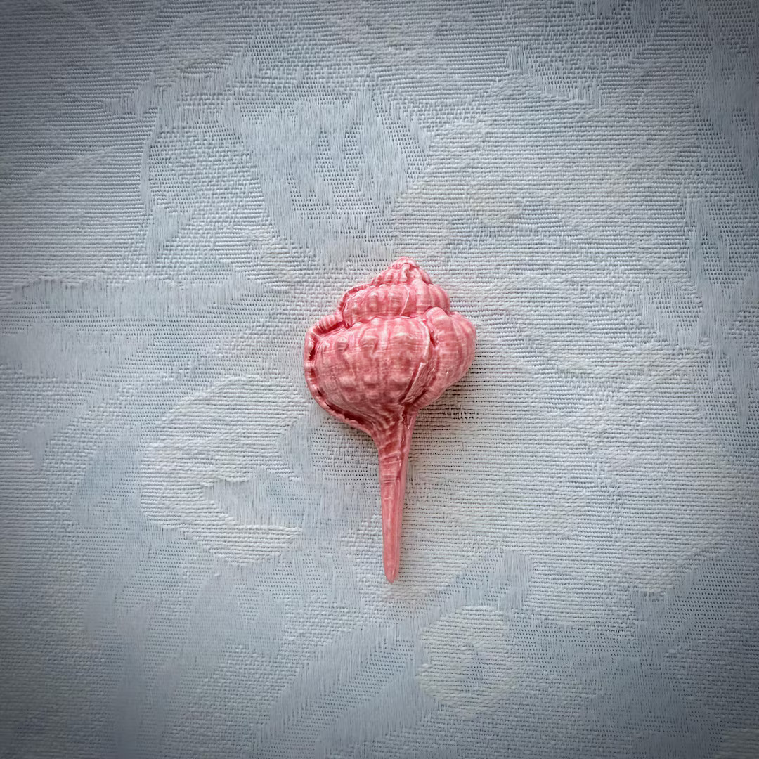 Pink Ceramic Shell, Hand Painted Art Tile, Seascape Mosaic Supply | Etsy (US)