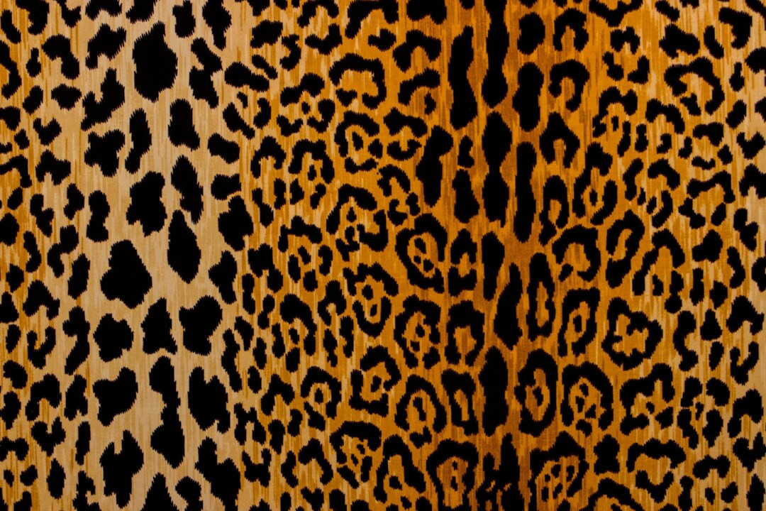 Braemore Jamil Leopard Print Natural Velvet Fabric Cut Yardage - Etsy | Etsy (US)