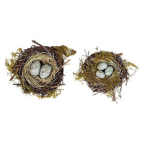 Dried Twig Wrapped with Blue Eggs Decorative Birds Nest Home Accents Set of 2 | Amazon (US)