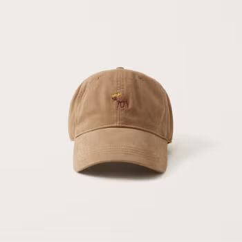 Icon Baseball Hat | Abercrombie & Fitch (US)