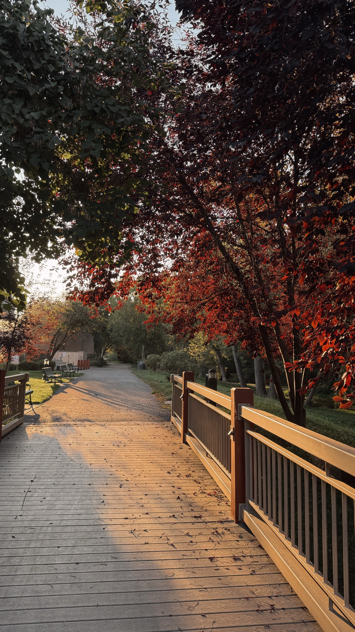 This has been the best weather while marathon training! 🍂🍁

#LTKActive #LTKSeasonal #LTKShoeCrush