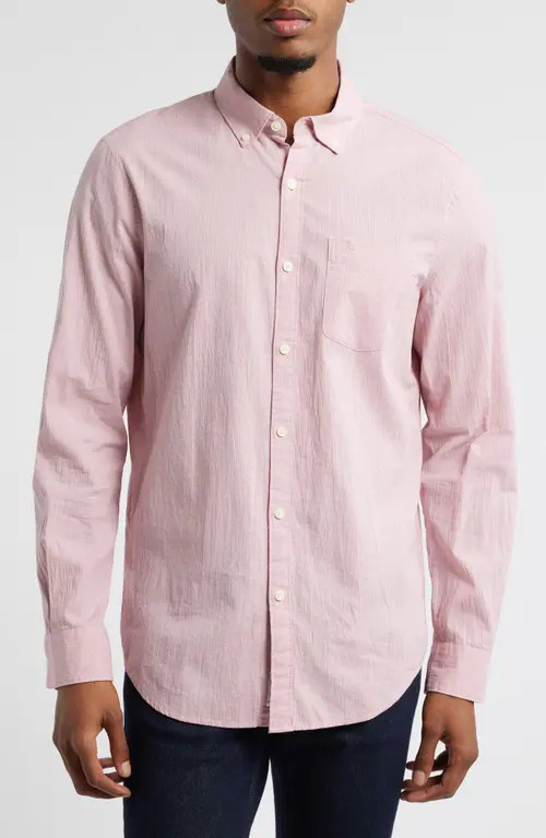 Original Penguin Stretch Cotton Button-Down Shirt in Dusty Rose at Nordstrom, Size Small | Nordstrom