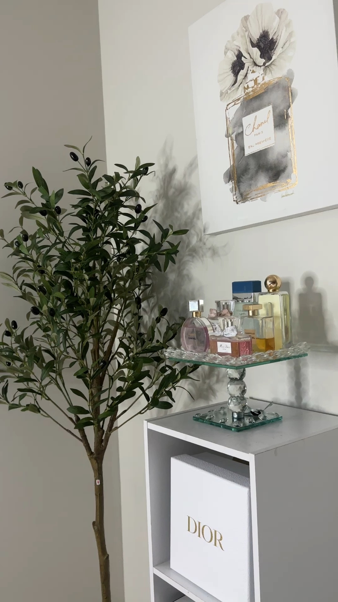 Indoor Olive Tree

#LTKHome #LTKFallSale #LTKVideo