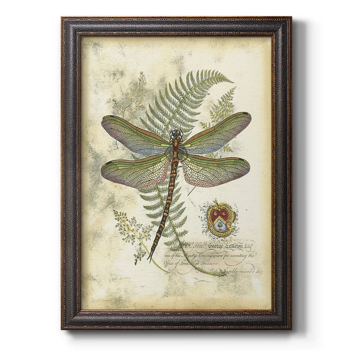 " Regal Dragonfly I (PP) " Painting Print | Wayfair North America