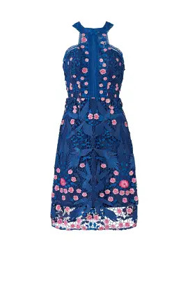 Blue Bird Lace Dress | Rent The Runway