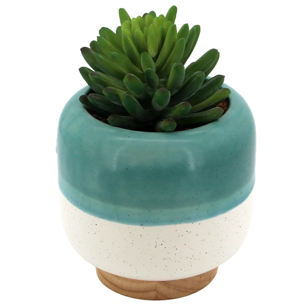 Better Homes & Gardens Green, Rubber Wood Base Faux Succulent Ceramic Pot, 7" - Walmart.com | Walmart (US)