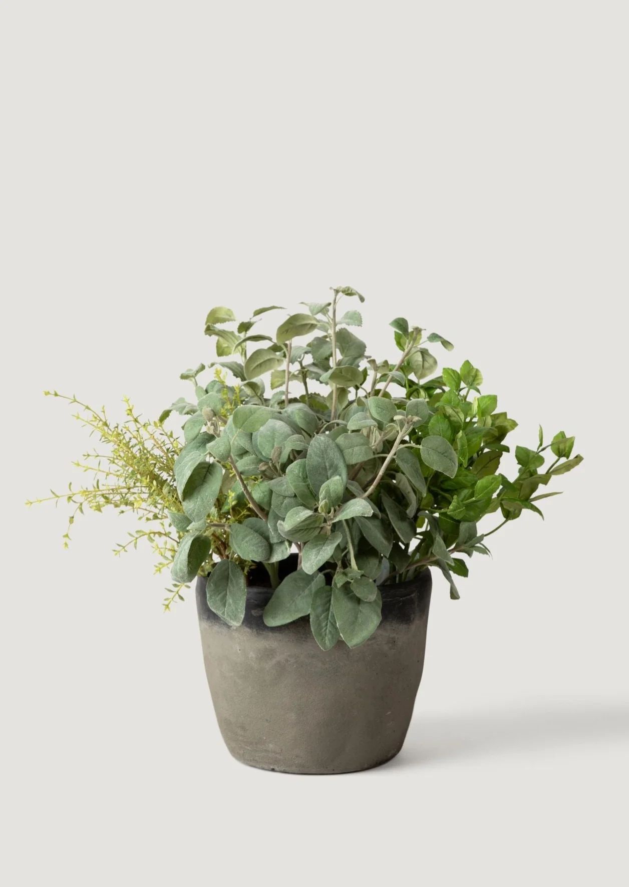 Artificial Mixed Herb Potted Plant - 21.5" | Afloral
