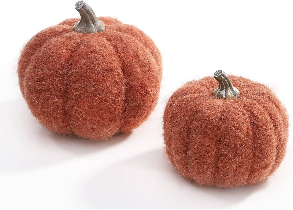 DN DECONATION Orange Pumpkin Decor, Fabric Pumpkin Set of 2, Faux Pumpkins as Table Centerpiece f... | Amazon (US)
