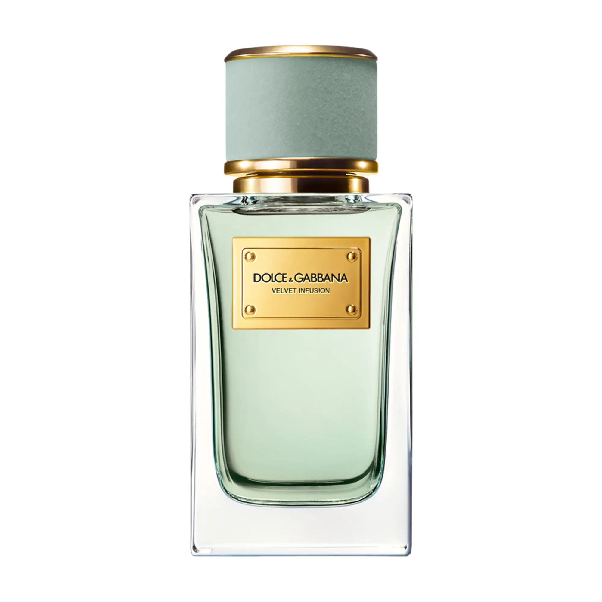 Dolce & Gabbana Velvet Infusion with Bergamot 3.3oz/100ml | Sephora (US)