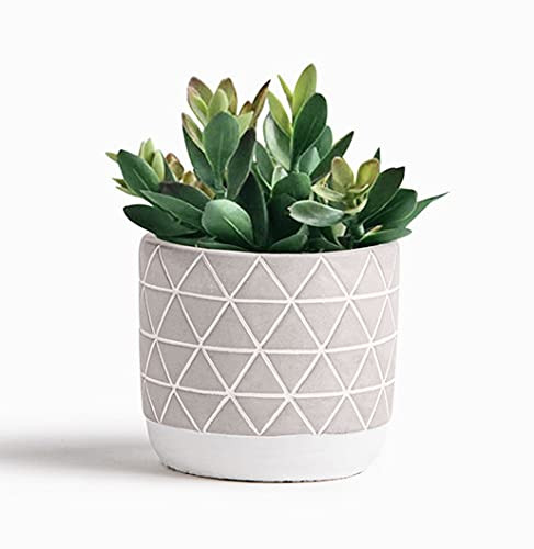 Kurrajong Farmhouse 7.5" x 4.5" Artificial Succulent Plant in Concrete Cement Pot, Beautiful Feaux P | Amazon (US)