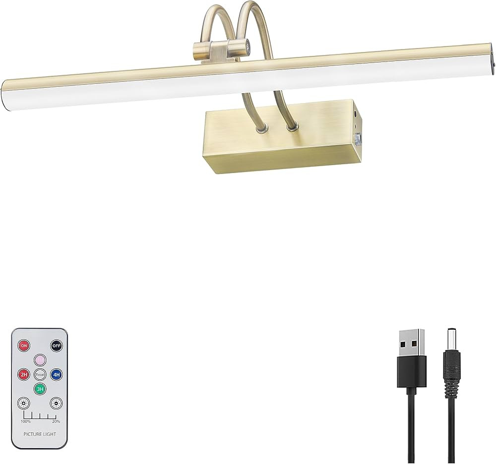 Picture Light,13in Battery Operated Art Lights for Paintings,Remote Display Accent Light with Tim... | Amazon (US)