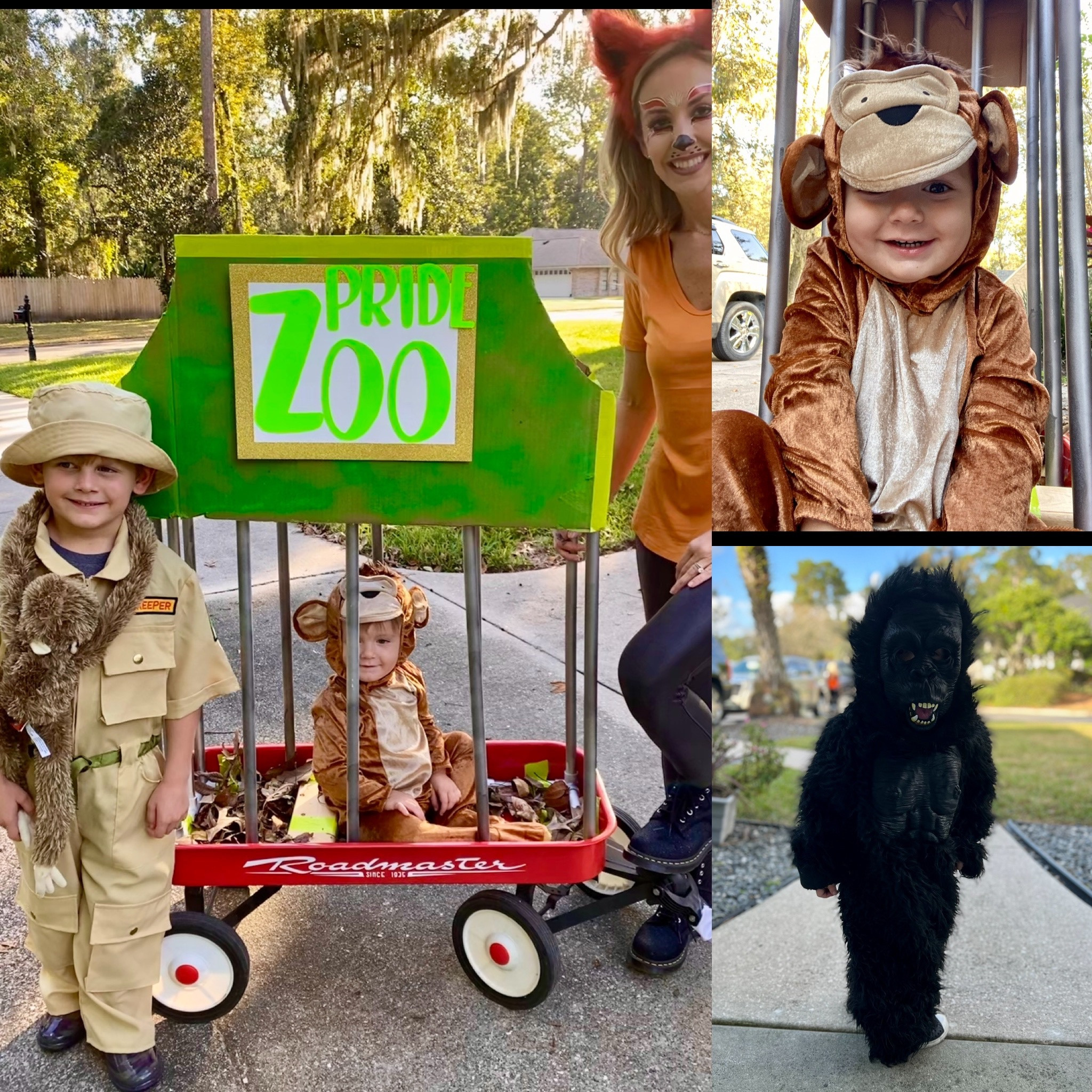 My son wanted to be a zookeeper so bad (costume was cheap) - so we went with the theme. Halloween costume ideas. Kid costume. Simple Halloween costume. I loved the baby monkey costume! 

#LTKbaby #LTKkids #LTKHalloween