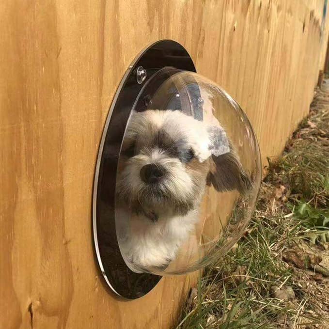 BobbyPet Dog Fence Window - Clear View Dome Pet Peek Window - XL Size for Dog/cat/Horse,Even Chil... | Amazon (US)