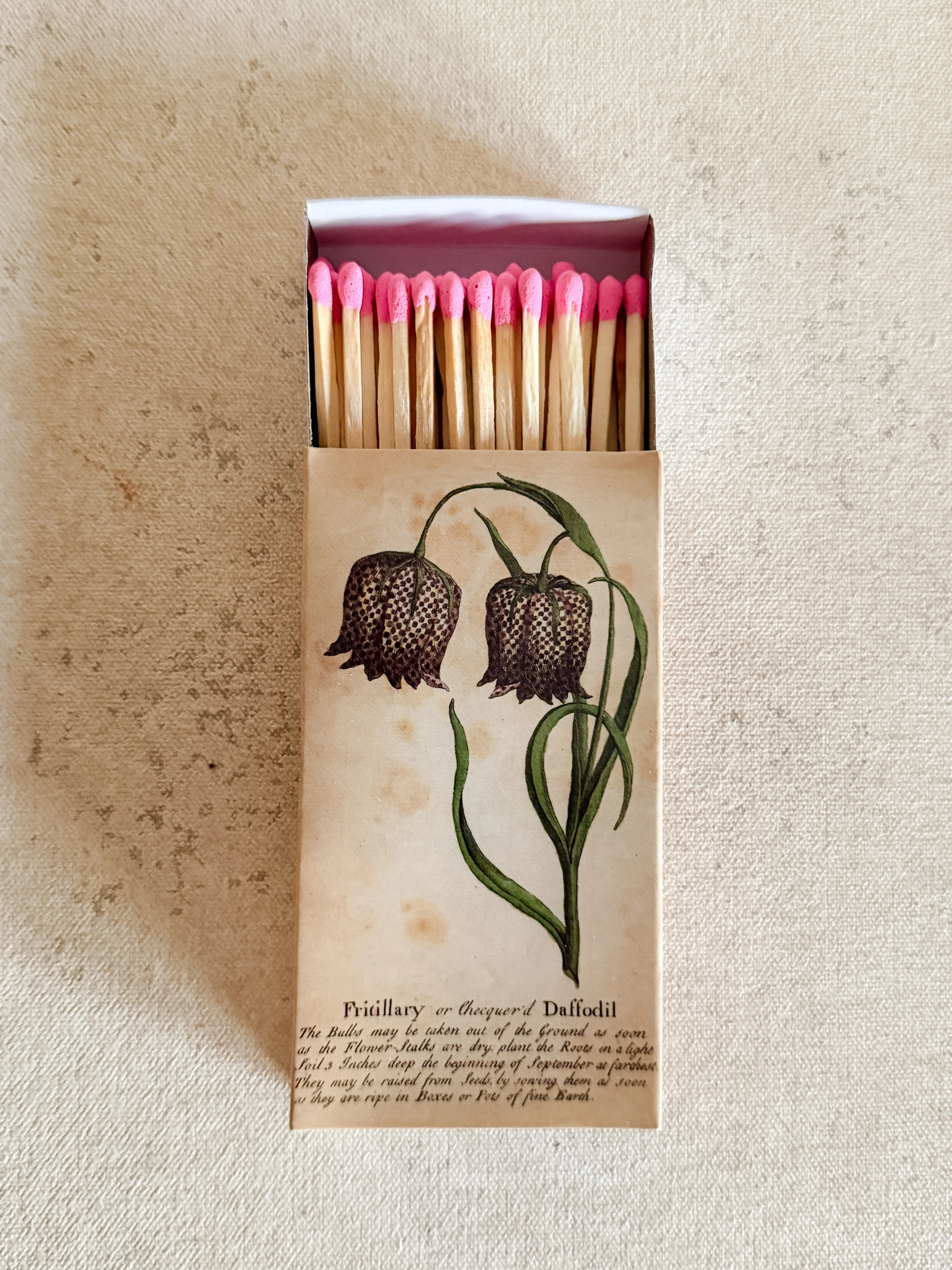 Ranunculus & Daffodill Matches | Cottage and Key