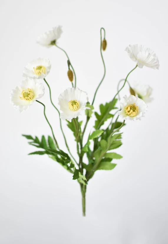 15" Poppy Bush White | Etsy (US)
