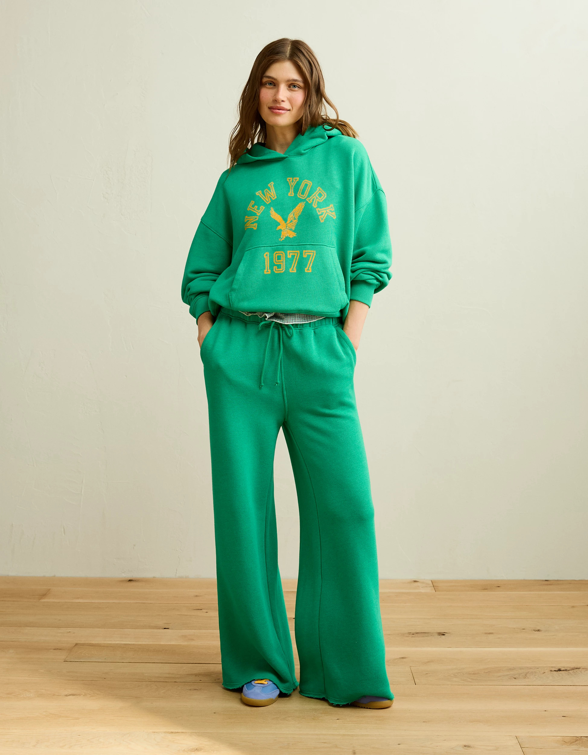 AE Campus Hoodie | American Eagle Outfitters (US & CA)