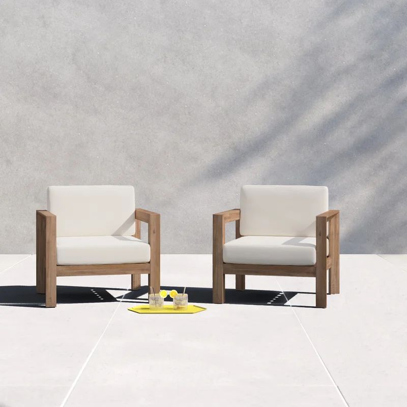 Kesia Outdoor Patio Chair with Cushions (Set of 2) | Wayfair North America