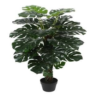 3.7ft. Potted Green Split Philodendron Tree by Ashland® | Michaels Stores