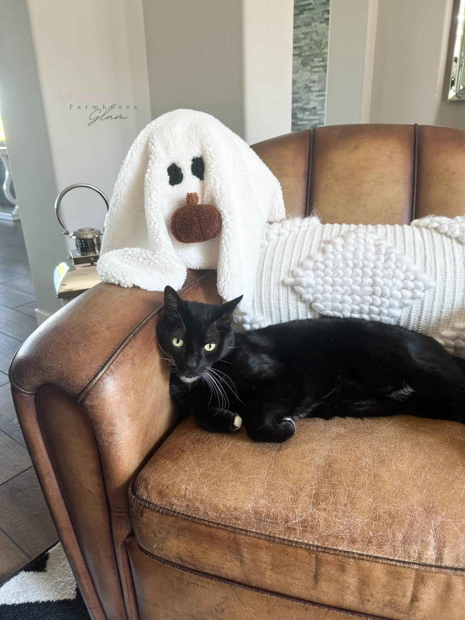 Oreo found a new friend. Ghost pillow $18 versus the Pottery Barn $85 one. Save vs splurge? 
Modern Farmhouse Glam Halloween home decor fall 

#LTKSaleAlert #LTKSeasonal #LTKHome