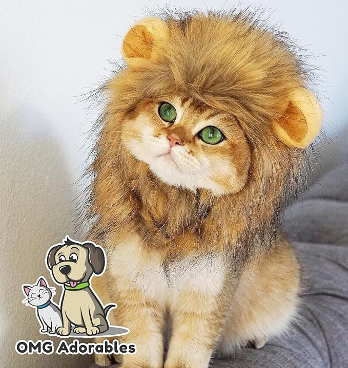 Lion Mane Costume for Cats | Amazon (US)