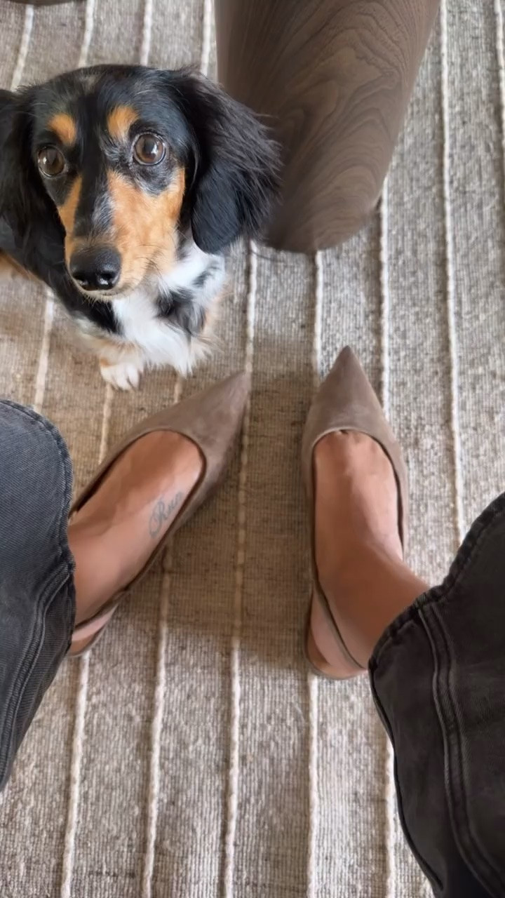 Love these! They are comfortable, cute and fit tts.

#LTKWorkwear #LTKMidsize #LTKTravel