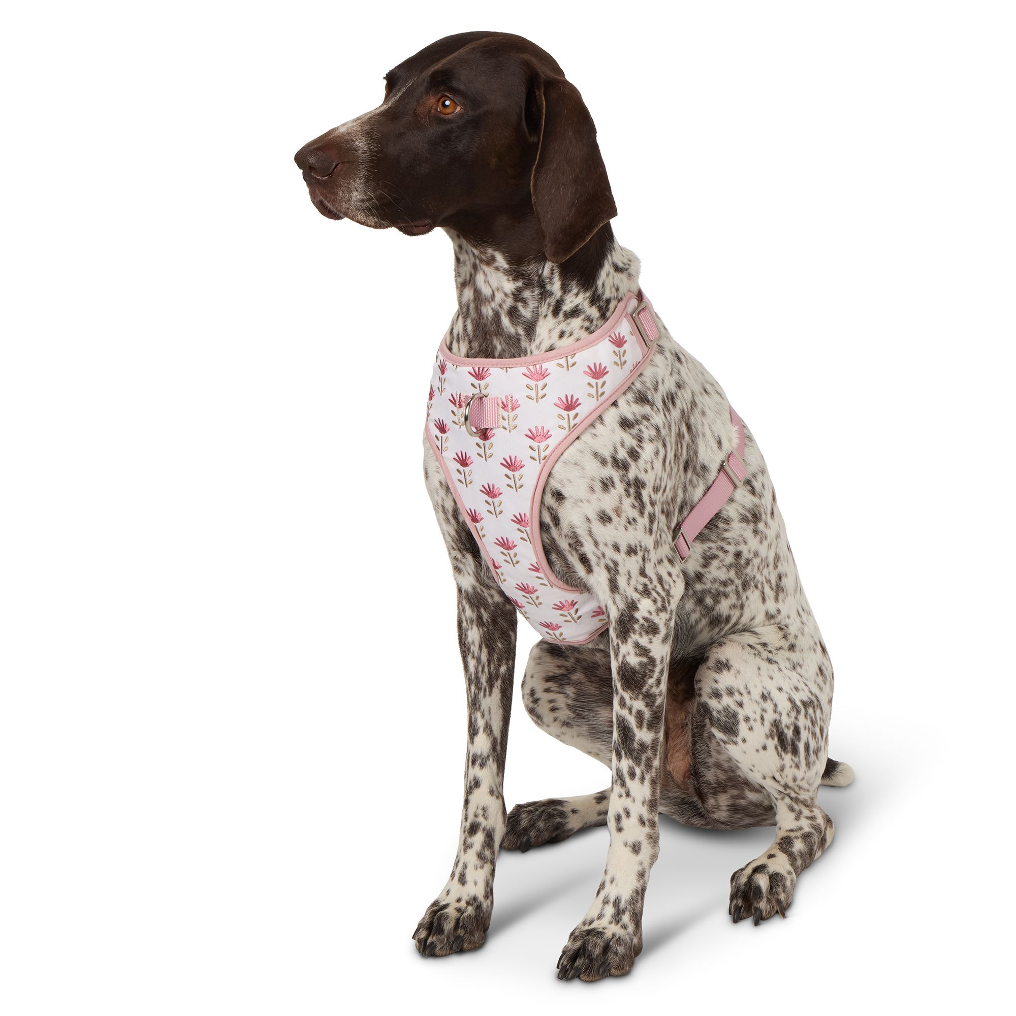 Top Paw® Flower Dog Harness, Comfort Dog Harness, Adjustable, White, Pink, Multiple Sizes | PetSmart