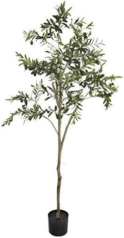 Binnny Flower 6 FT Artificial Silk Tree Olive Plant UV Resistant Fake Plant for Home House Indoor... | Amazon (US)
