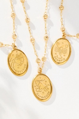 Delicate Zodiac Pendant Necklace | Anthropologie (US)