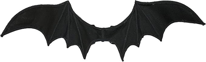 Jacobson Hat Company Halloween Costume Accessory Bat Wings with Elastic Straps,Black,One Size | Amazon (US)