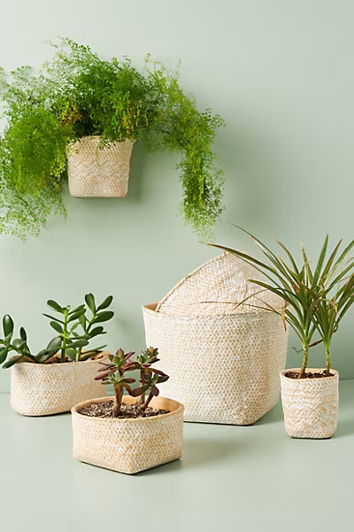 Blakely Pot | Anthropologie (US)