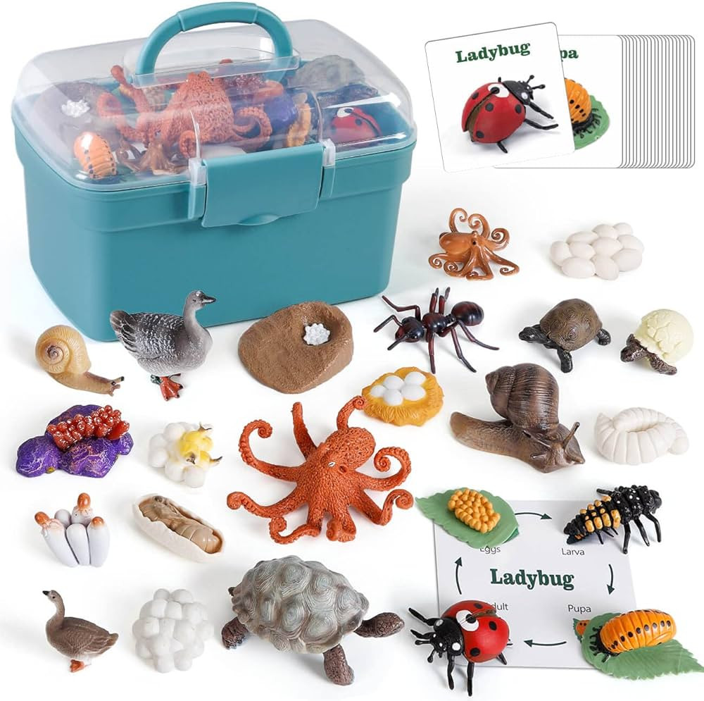 Life Cycle Montessori Toys, 24 Pieces Life Cycle Models for Ladybug, Ants, Goose, Land Turtle, Sn... | Amazon (US)
