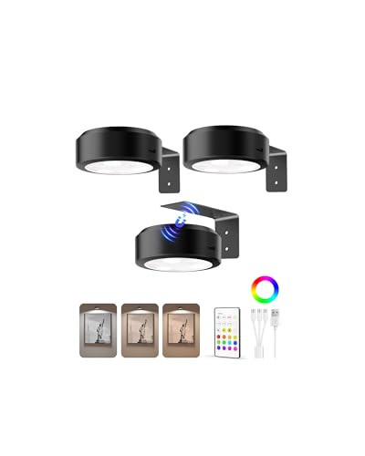 EZVALO Picture Lights for Wall, 2000mAh Rechargeable Battery Magnetic Poster Lights with 3 Color Temps & 12 RGB, Remote Dimmable Timer Painting Light, Wall Decor Light for Art Display, Frame (3 Pack) | Amazon (US)