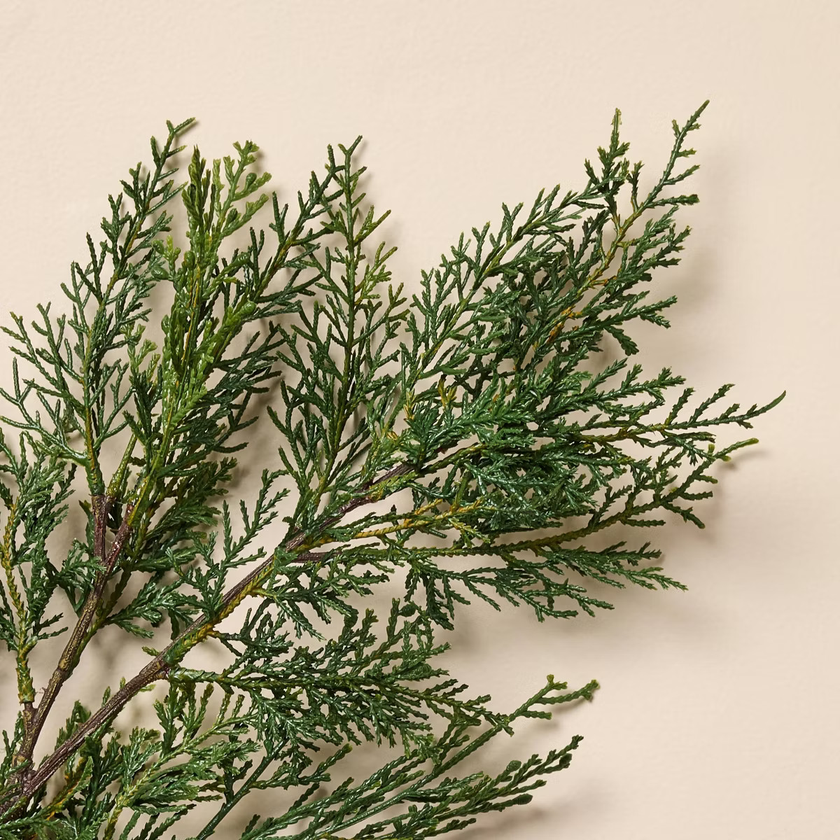 25" Cedar Artificial Stem - Hearth & Hand™ with Magnolia | Target