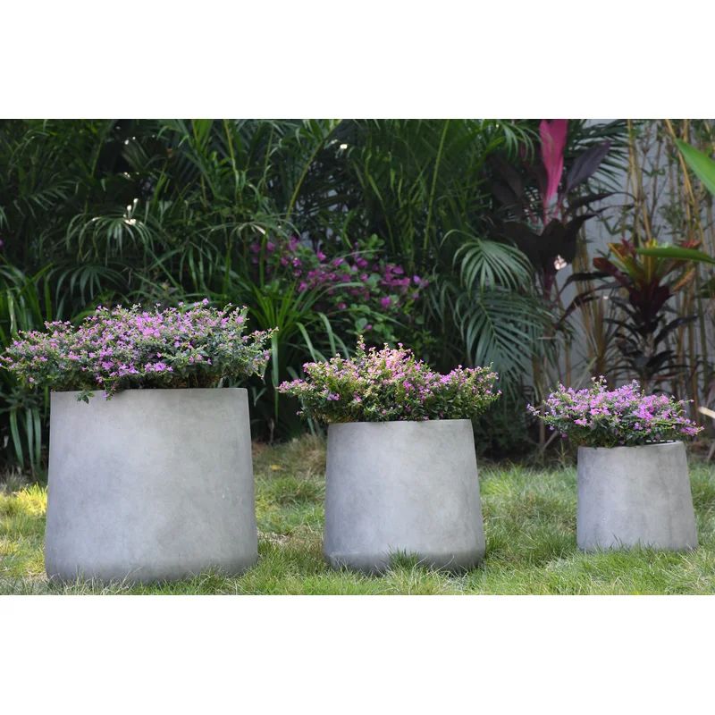 Michele 3 Piece Concrete Pot Planter Set | Wayfair North America