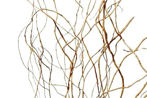 Green Floral Crafts | 12 Stem Dried Curly Willow Branches 3-4 Feet Tall - Perfect Home Decoration and Floor Vase Filler (Natural) | Amazon (US)