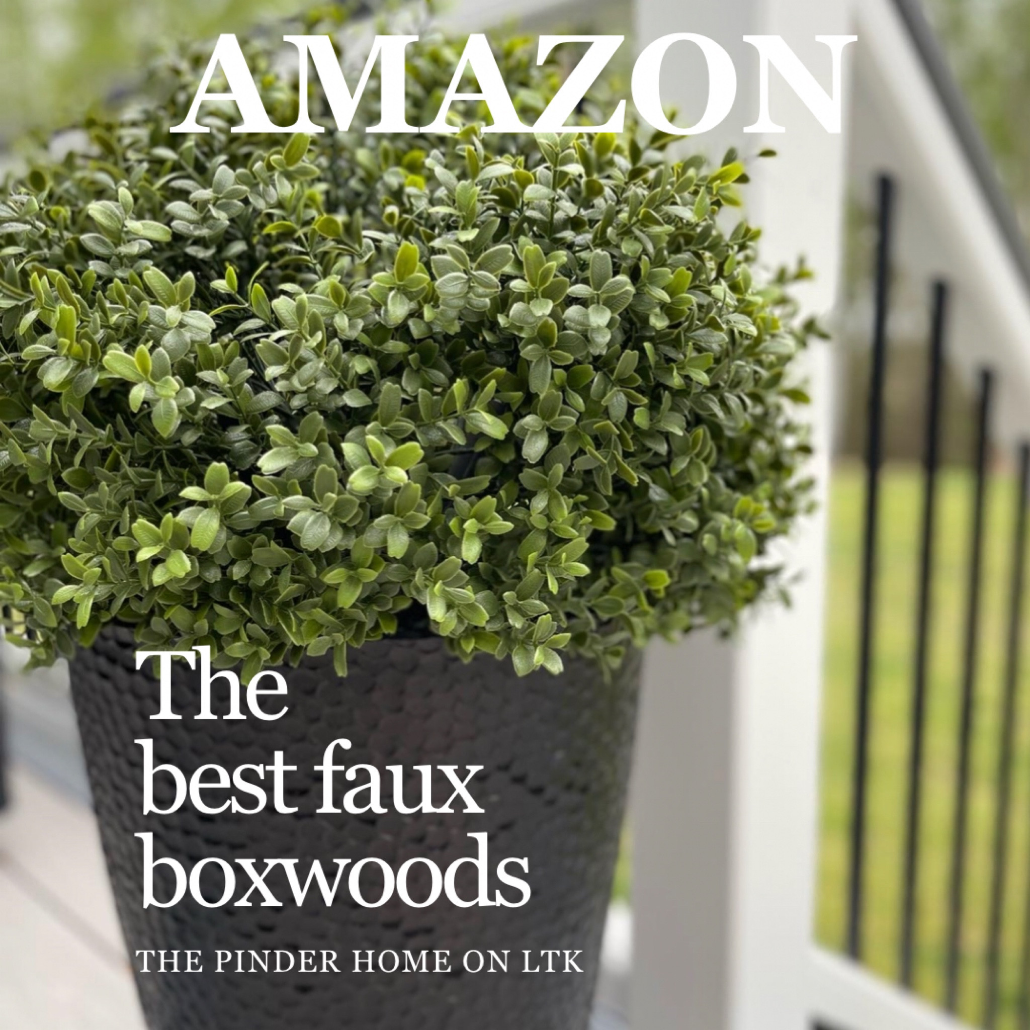 Best Seller Boxwood UNBELIEVABLE QUALITY NO FADING #outdoor #patio

#LTKstyletip #LTKhome