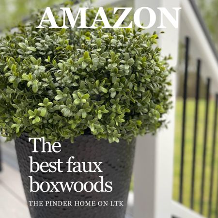 Best Seller Boxwood UNBELIEVABLE QUALITY NO FADING #outdoor #patio

#LTKstyletip #LTKhome