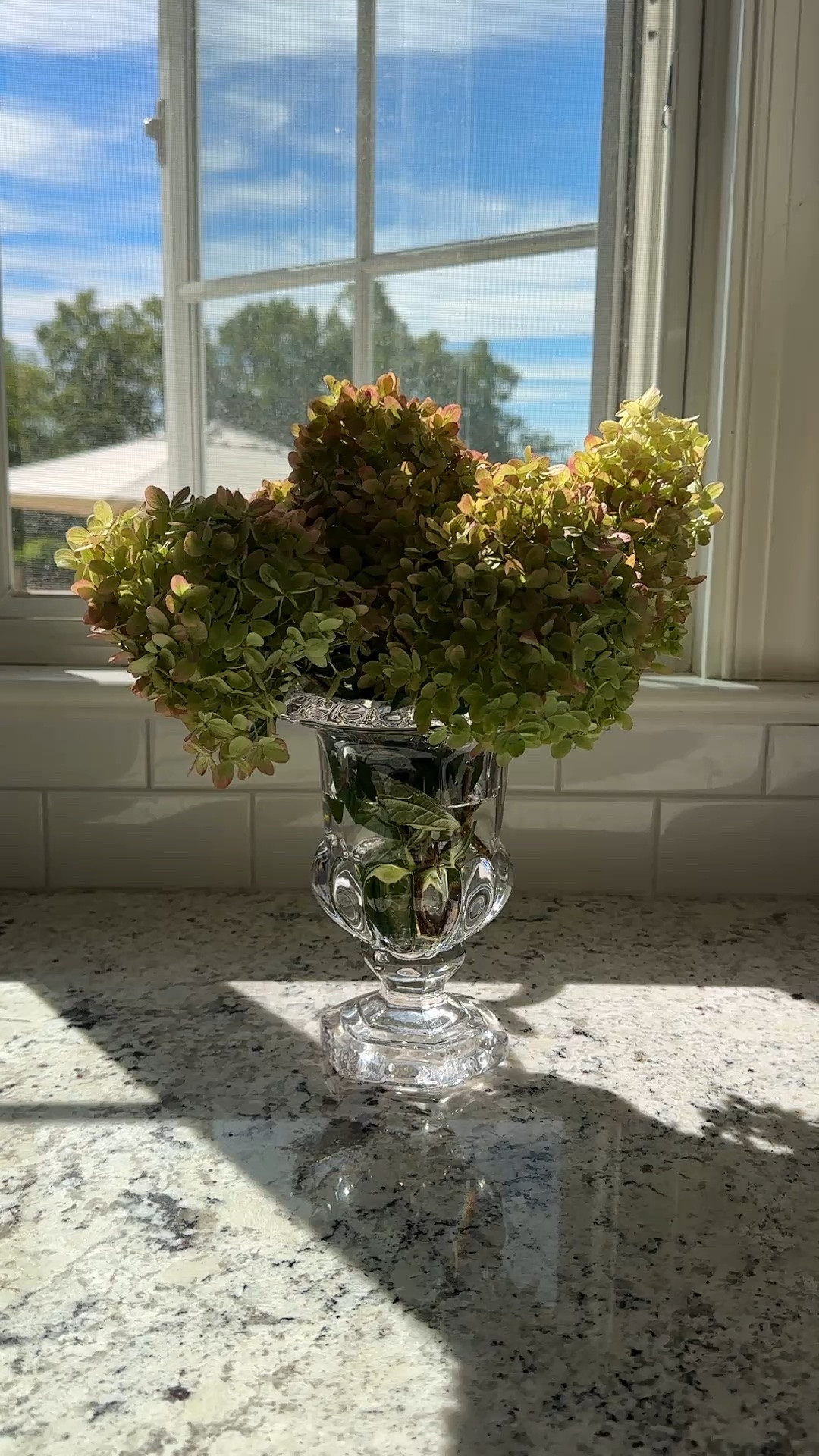Glass urn vase - perfect for fall flower arrangements!  These hydrangeas are from my backyard but I linked some faux hydrangea options!

#ltkfalldecor #ltkvase

#LTKSeasonal #LTKHome