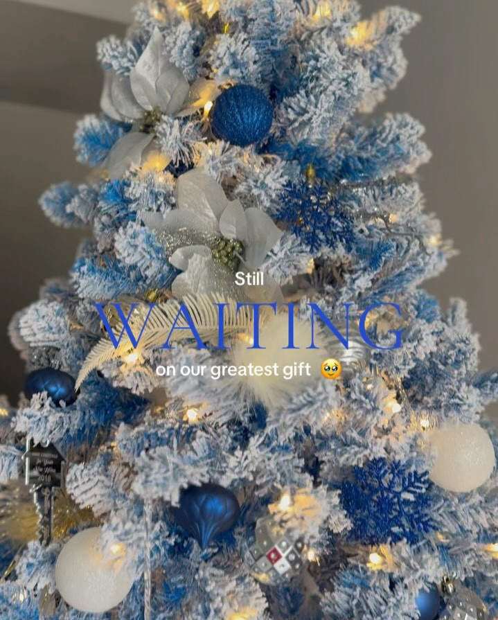 Whether you’re putting up your @kingofchristmas tree 🌲, shopping for someone you love🛍️, or waiting on your greatest gift to arrive 👶🏾🍼, this playlist is guaranteed to get you in the holiday spirit. 

Please let us know below what songs we should add!! We hope you enjoy! 

#christmastree #kingofchristmas #christmas2024 #holidayplaylist #christmastime #christmasmusic #iwannagosomewhereee

#LTKHoliday #LTKSeasonal #LTKHome