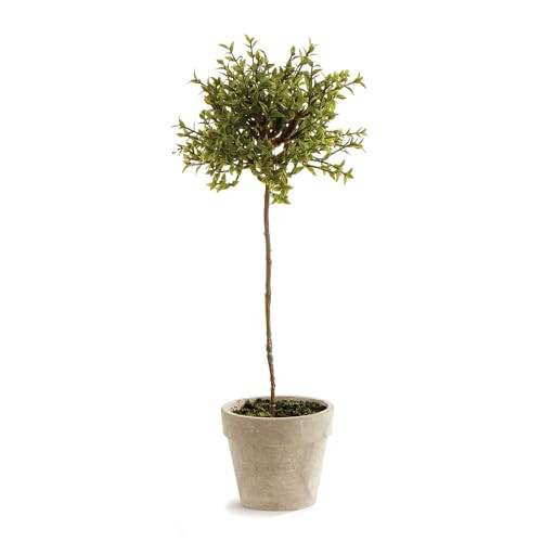 Napa Home & Garden, Thyme Topiary 13" | Amazon (US)