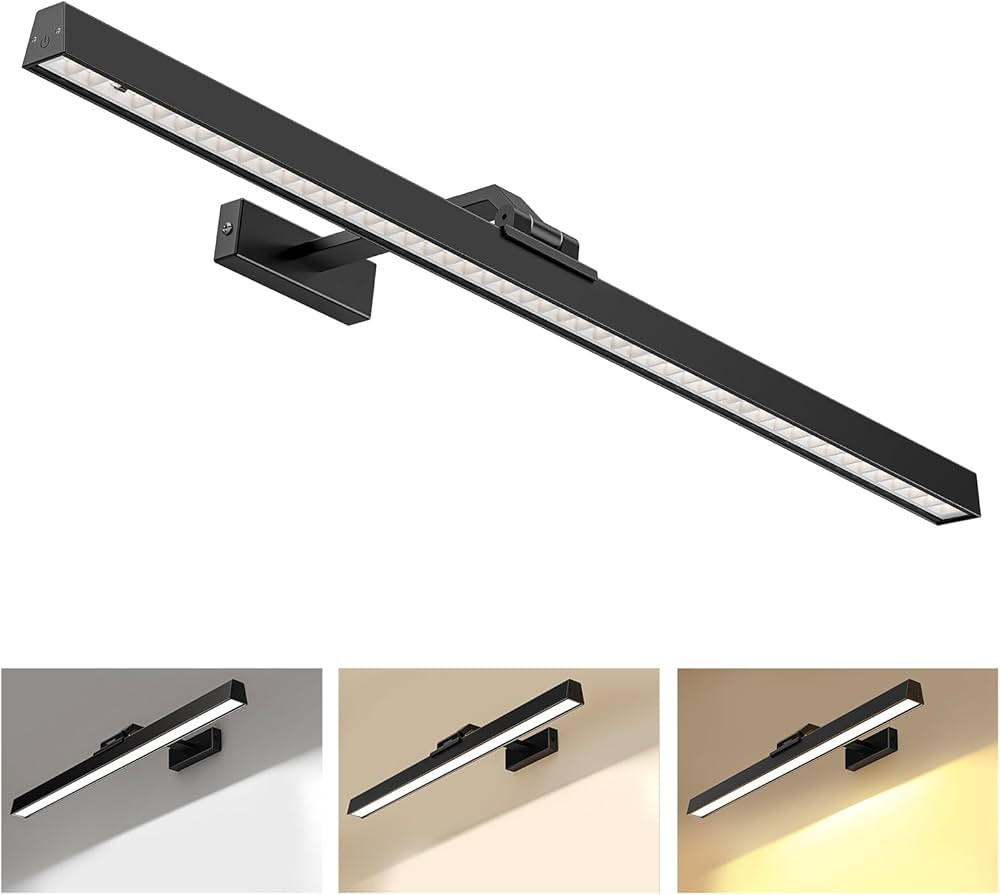 Picture Lights for Wall, Battery Operated Picture Light 24in Gallery Light for Paintings CCT Dimm... | Amazon (US)