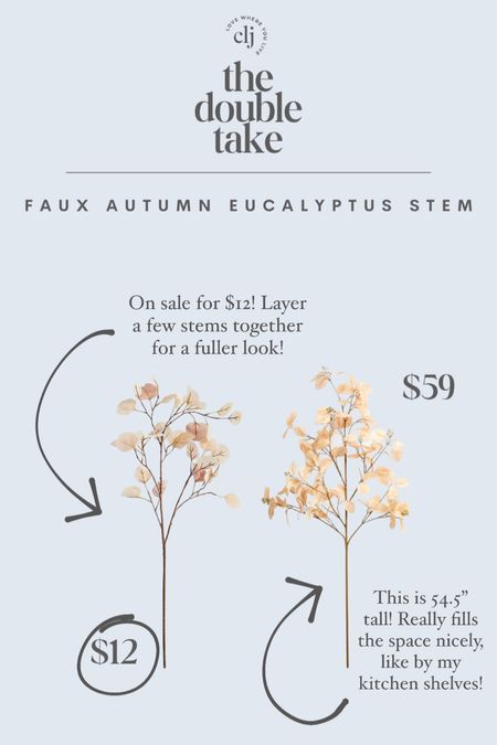 The Double Take: Faux Autumn Eucalyptus Stems

#LTKhome #LTKstyletip #LTKSeasonal