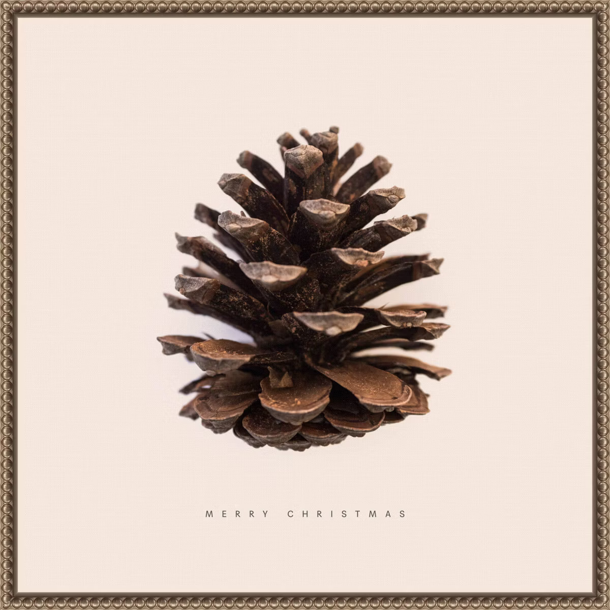 Amanti Art 22"x22" Merry Christmas No 1 by Florent Bodart Framed Canvas Wall Art Print | Target