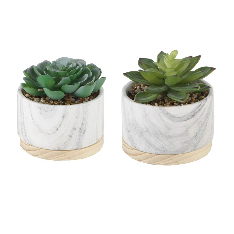 2 Piece Marble/ Wood Base Desktop Succulent Plant in Pot | Wayfair North America